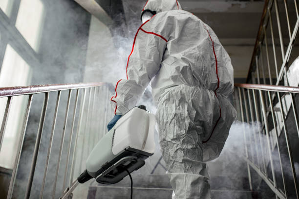 Best Comprehensive Air Testing for Mold Contaminants  in Tulare, CA